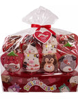 Squishmallows Valentines Day Cookie Pops: 12-Piece Bouquet