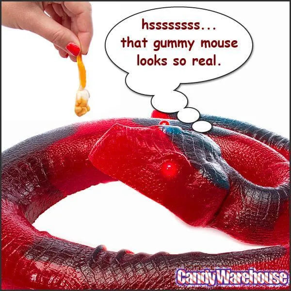 26-Pound Party Gummy Python