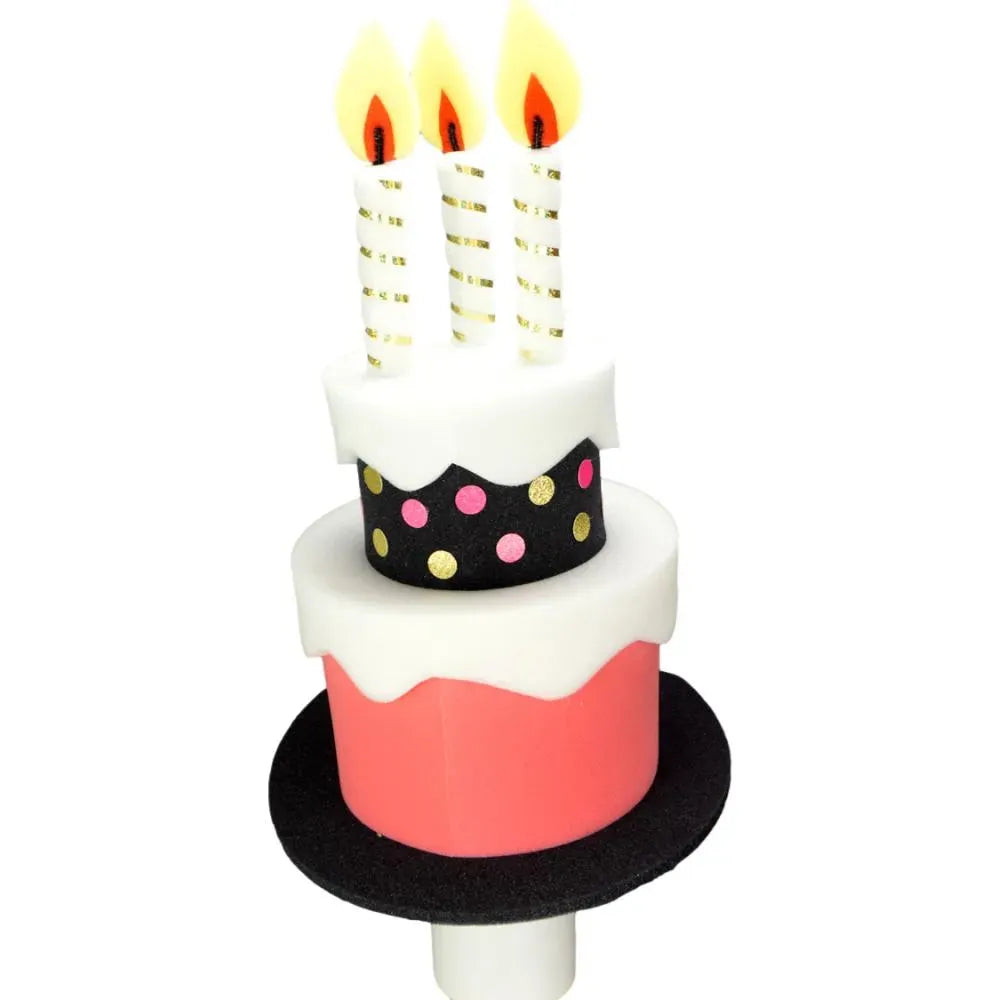 Special Birthday Cake Hat