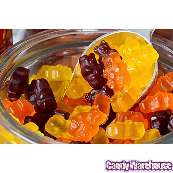 Albanese Autumn Gummy Bears Candy: 5LB Bag