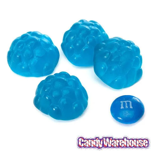 Albanese Blue Raspberry Gummy Berries Candy: 5LB Bag