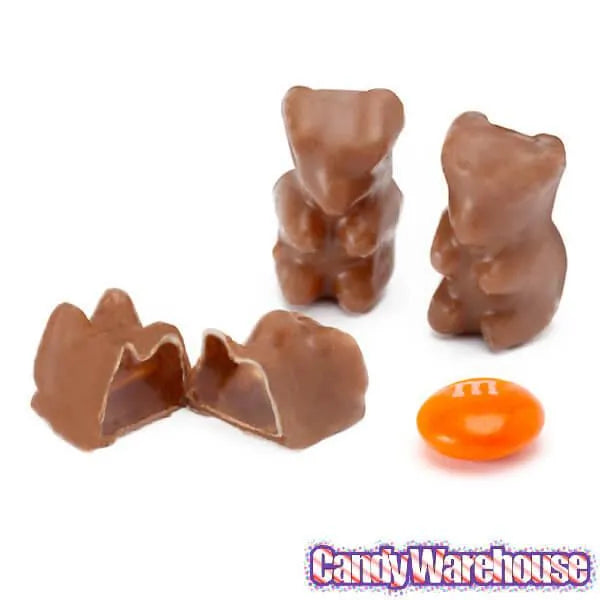 Albanese Milk Chocolate Covered Gummy Bears: 10LB Case