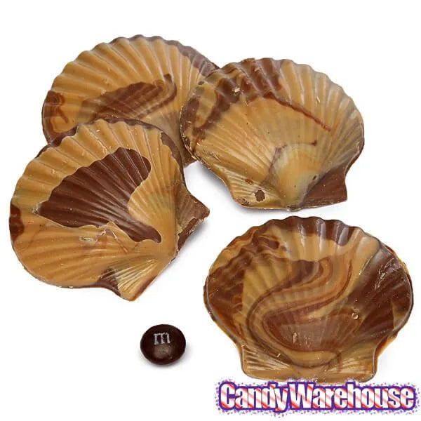 Asher's Swirled Milk Chocolate and Peanut Butter Sea Shells Candy: 64-Piece Box