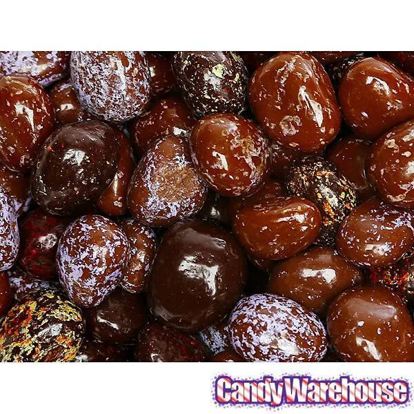 Brach's Chocolate Covered Jelly Beans: 9-Ounce Bag