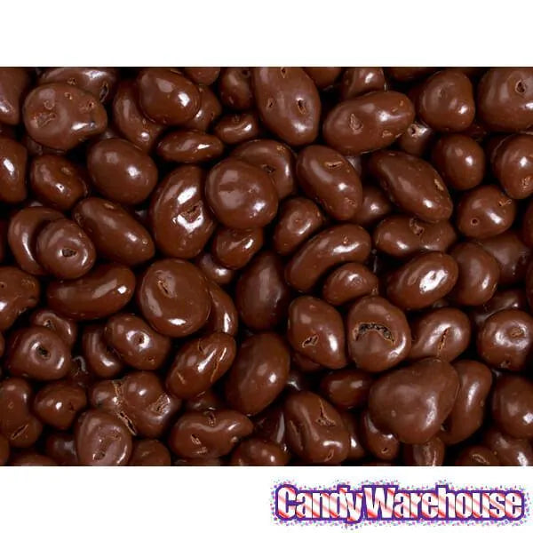 Brach's Chocolate Covered Raisins Candy: 12-Ounce Bag