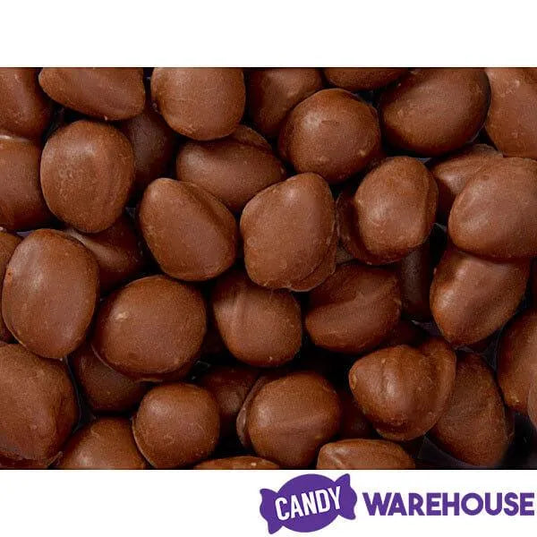 Brach's Double Dippers Milk Chocolate Covered Peanuts: 12-Ounce Bag