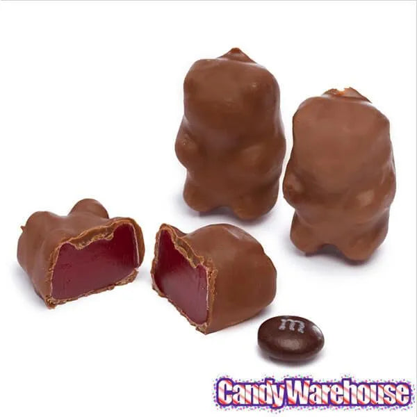 Chocolate Covered Cinnamon Bears: 14-Ounce Bag