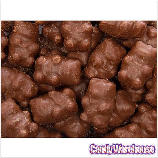 Chocolate Covered Cinnamon Bears: 14-Ounce Bag