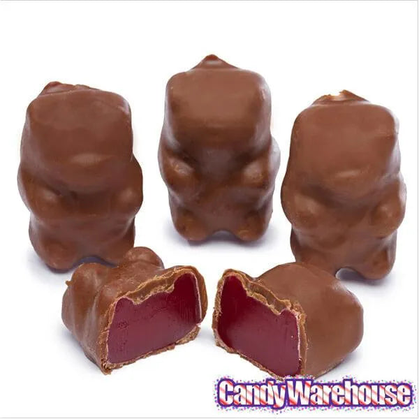 Chocolate Covered Cinnamon Bears: 14-Ounce Bag