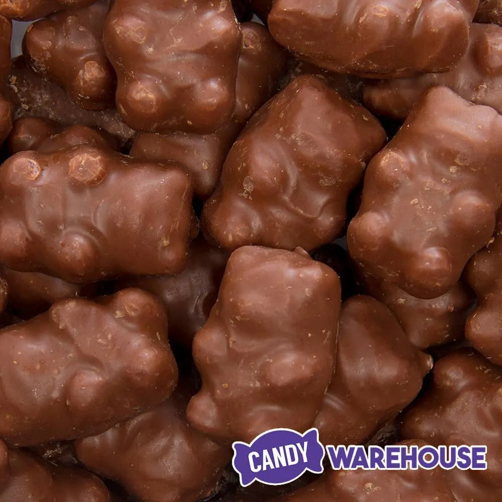 Chocolate Covered Cinnamon Bears: 3LB Bag