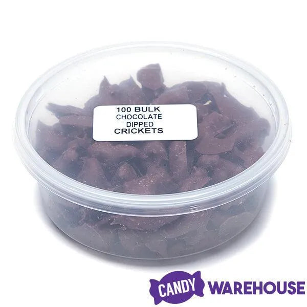 Chocolate Covered Crickets: 100-Piece Tub