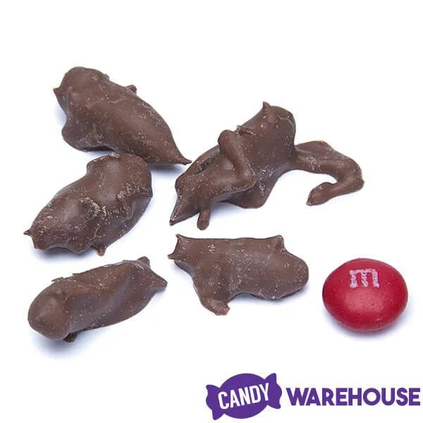 Chocolate Covered Crickets: 100-Piece Tub