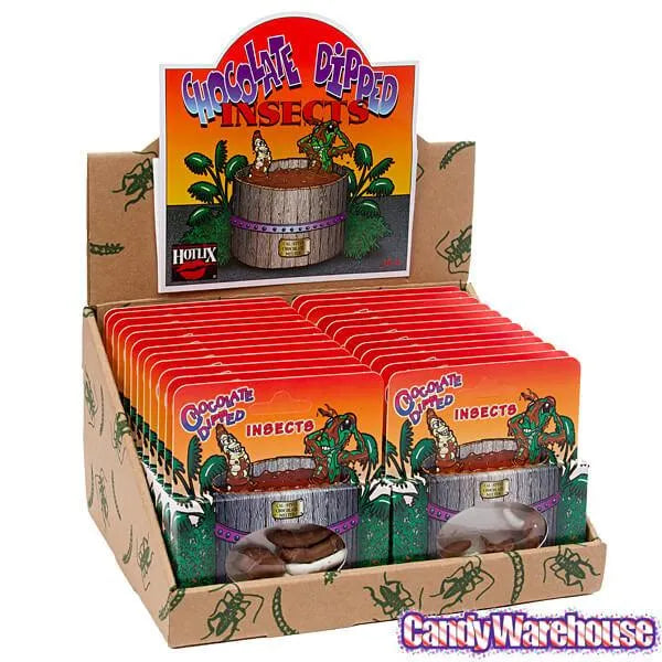 Chocolate Covered Insects Packs: 24-Piece Box