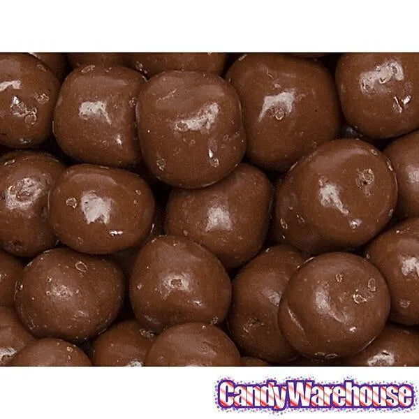 Chocolate Covered S'Moresels: 2LB Bag