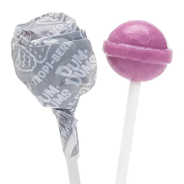 Dum Dums Silver Party Pops - Tropical Berry: 5LB Bag