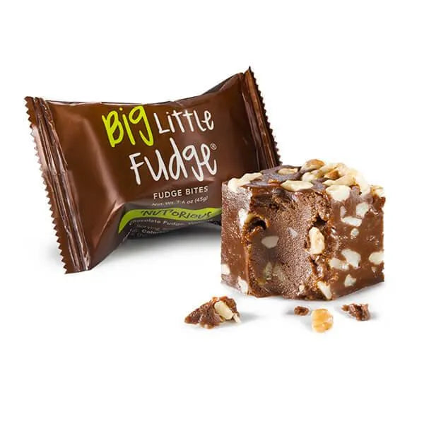 Fudge Bites - Chocolate with Walnuts: 12-Piece Display