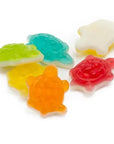 Gummy Turtles Candy: 5LB Bag