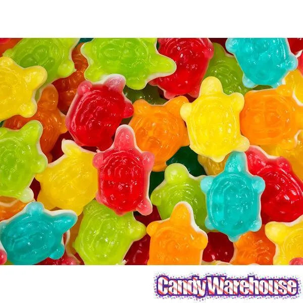 Gummy Turtles Candy: 5LB Bag