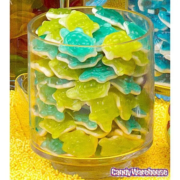 Gummy Turtles Candy: 5LB Bag