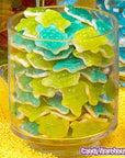 Gummy Turtles Candy: 5LB Bag