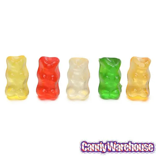 Haribo Gold-Bears Gummy Bears Pocket Size Packs: 24-Piece Box