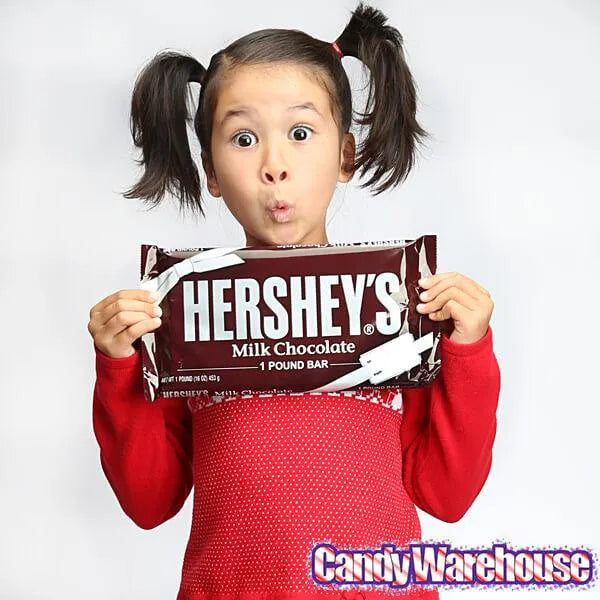 Hershey's 1-Pound Milk Chocolate Bar