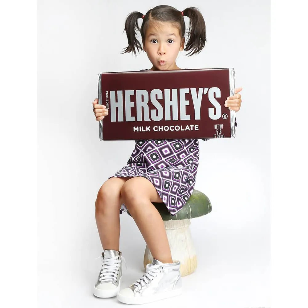 Hershey's Giant 5LB Chocolate Bar