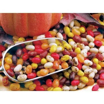 Jelly Belly Autumn Mix Jelly Beans: 7.5-Ounce Bag