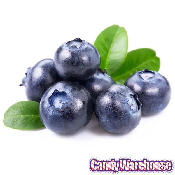 Jelly Belly Blueberry: 10LB Case