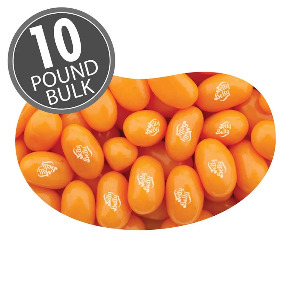 Jelly Belly Pumpkin Pie Jelly Beans: 10LB Case