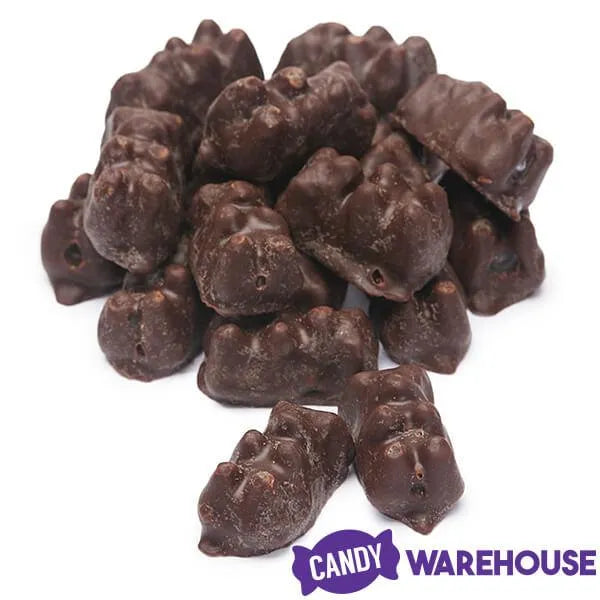 Koppers Dark Chocolate Covered Gummi Bears: 8LB Case