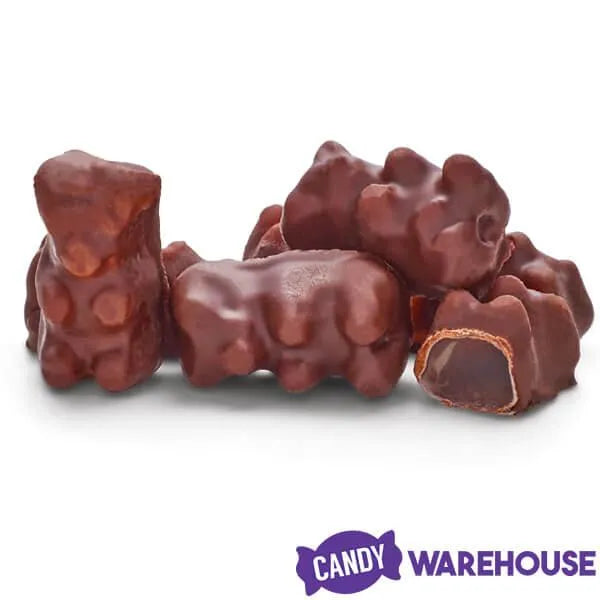 Koppers Milk Chocolate Covered Gummi Bears: 8-Pound Bag