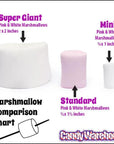 Lieber's Pink and White Mini Marshmallows: 5-Ounce Bag