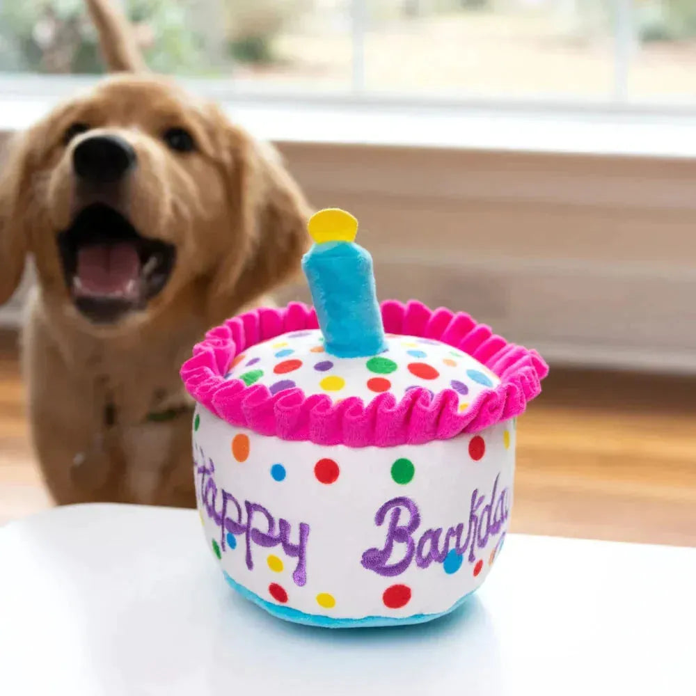 Lulubelle's Power Plush Happy Barkday Cake Dog Toy: Small