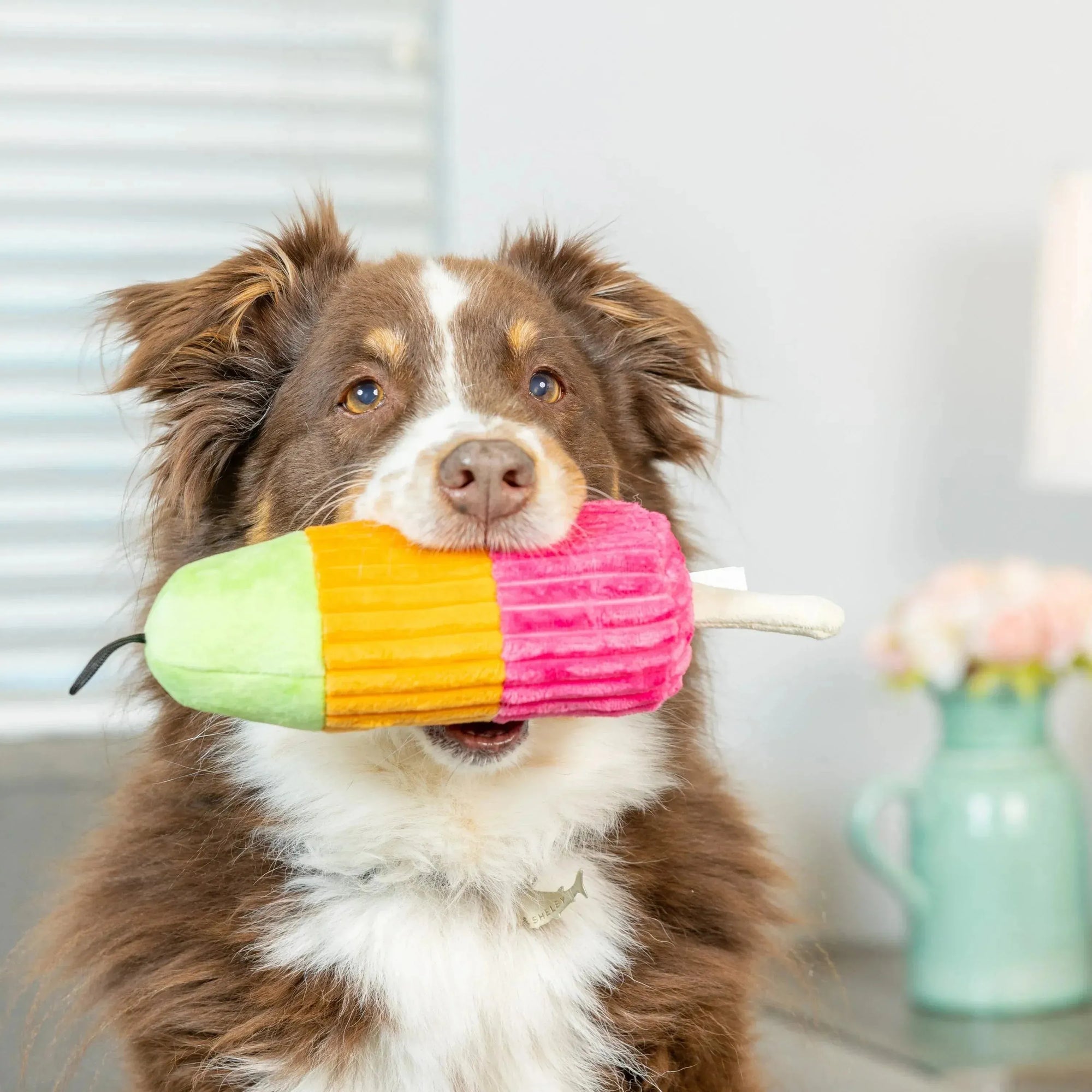 Lulubelle's Power Sherbert Pop