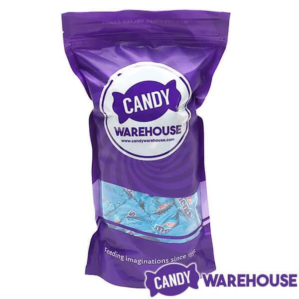 Mini Mentos Mint Candy Single Packs: 1LB Bag