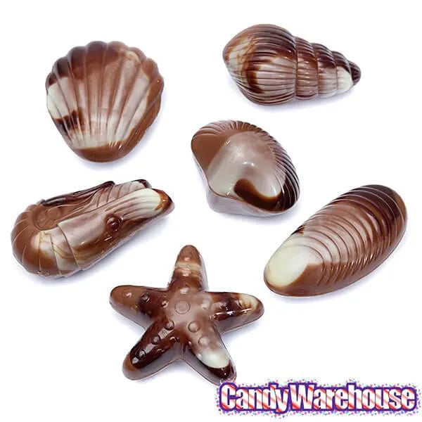 Nautilus Belgian Chocolate Seashells: 18-Piece Box