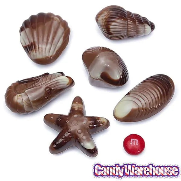 Nautilus Belgian Chocolate Seashells: 18-Piece Box