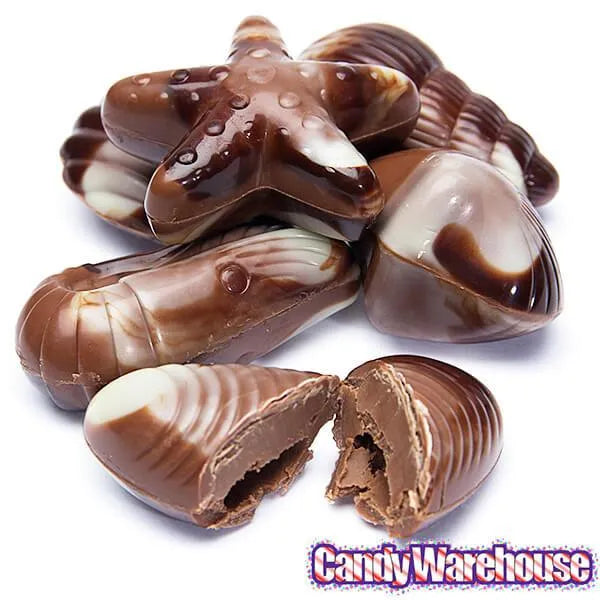 Nautilus Belgian Chocolate Seashells: 18-Piece Box