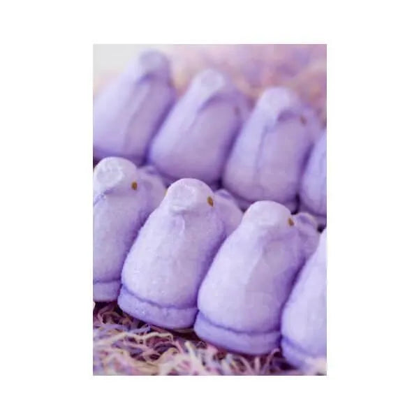 Peeps Marshmallow Chicks Candy - Lavender: 24-Piece Case