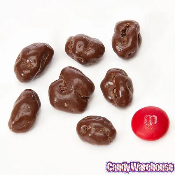 Raisinets Milk Chocolate Raisins Candy 3.1-Ounce Packs: 15-Piece Box