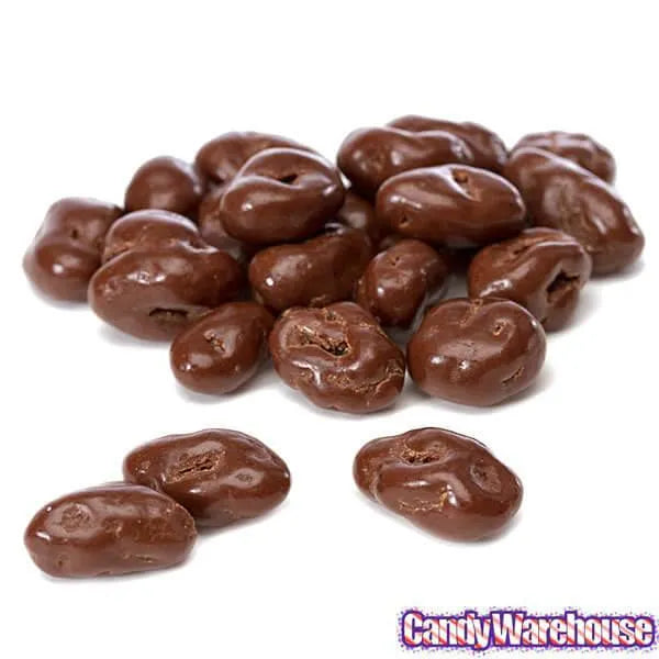 Raisinets Milk Chocolate Raisins Candy 3.1-Ounce Packs: 15-Piece Box