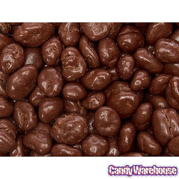 Raisinets Milk Chocolate Raisins Candy: 36-Ounce Bag