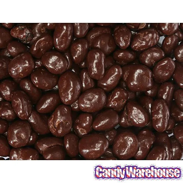 Raisinets Milk Chocolate Raisins Candy: 8-Ounce Bag