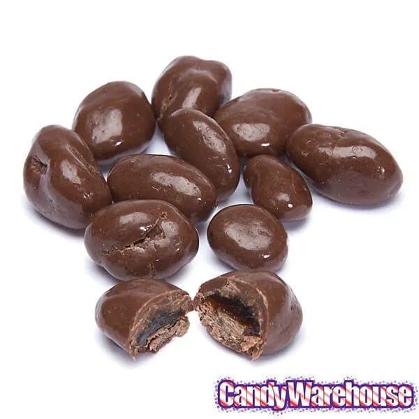 Raisinets Milk Chocolate Raisins Candy Fun Size Packs: 15-Piece Bag