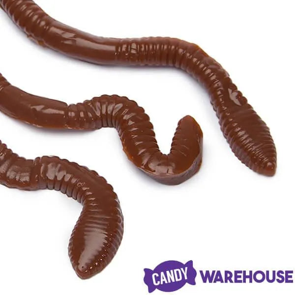 Realistic Gummy Earthworms Candy: 30-Piece Bag