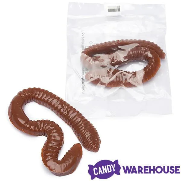 Realistic Gummy Earthworms Candy: 30-Piece Bag