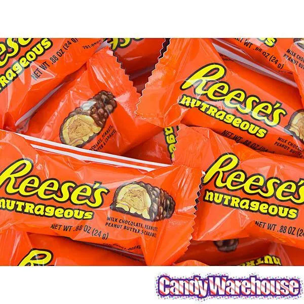 Reese's Nutrageous Snack Size Candy Bars: 10-Piece Bag