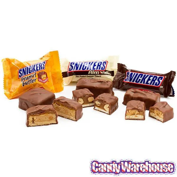 Snickers Fun Size Candy Bars Assortment: 45-Piece Bag