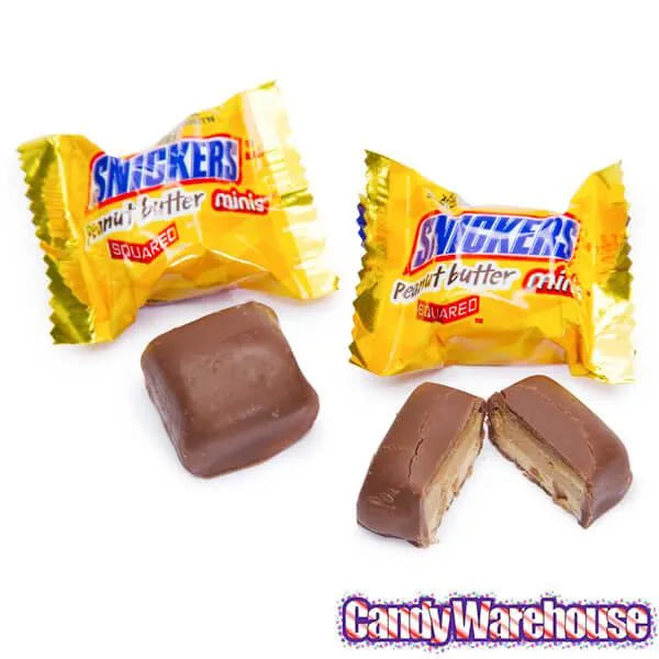 Snickers Peanut Butter Squared Minis Candy: 11.5-Ounce Bag